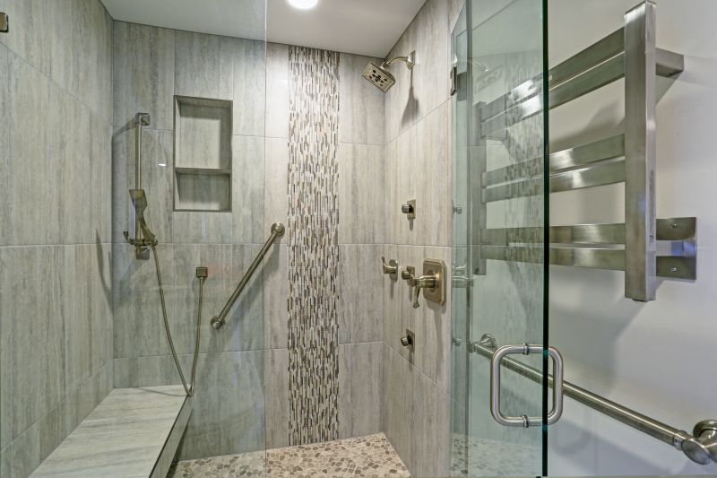 Stylish Shower Door